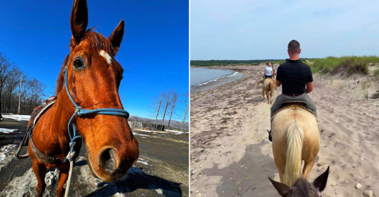 10 Dreamy Places To Ride Horses In New York (Yes, Even On The Beach)