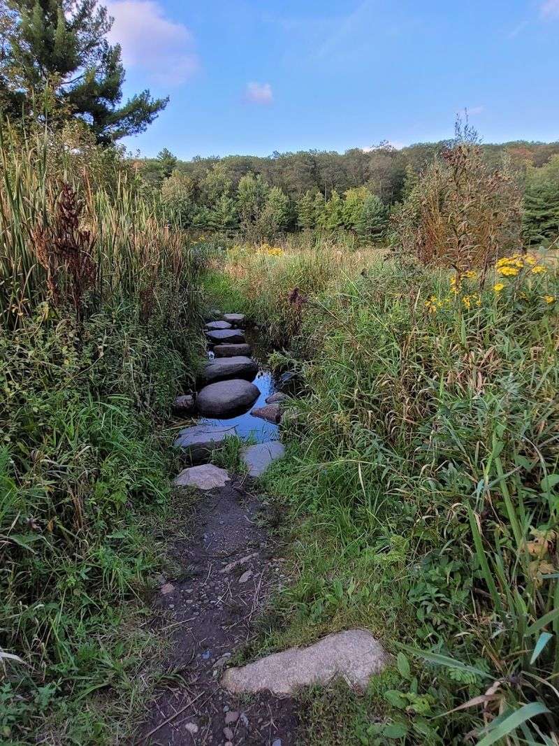 Straight Lake State Park (Polk County)