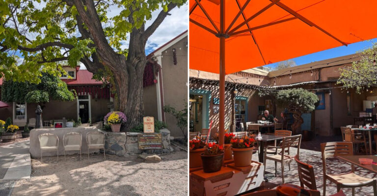 10 Mexican Restaurants In New Mexico That Bring Authenticity To The Table