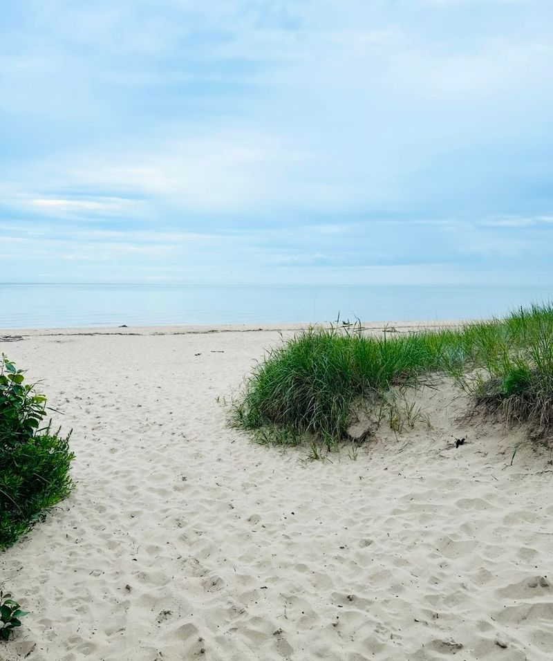 Kohler-Andrae State Park