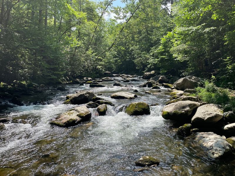 Little River, Great Smoky Mountains National Park