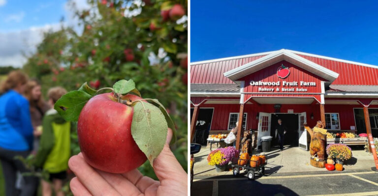 10 Wisconsin U-Pick Farms That Turn A Simple Outing Into A Full Day Of Fun