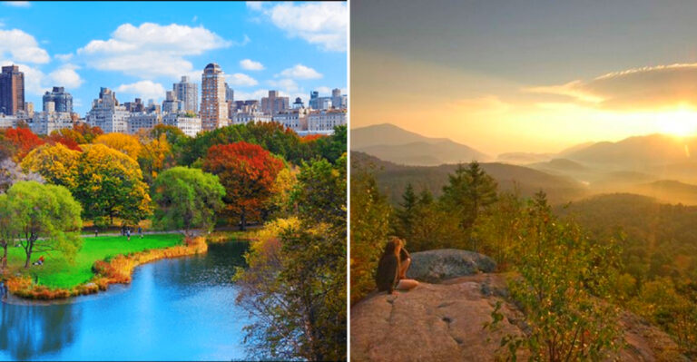 11 Bird-Watching Hotspots In New York Every Local Should Be Visiting At Least Once