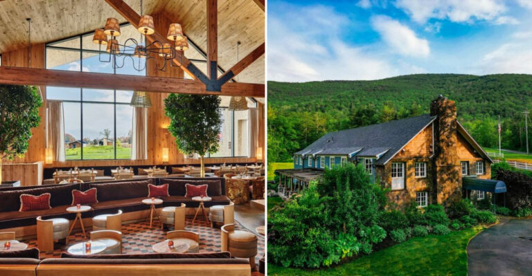 11 Hidden Forest Restaurants In New York That Feel Like You’ve Stepped Into Another World