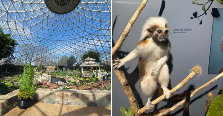 12 Fun Wisconsin Adventures You Can Enjoy Without Spending More Than $20