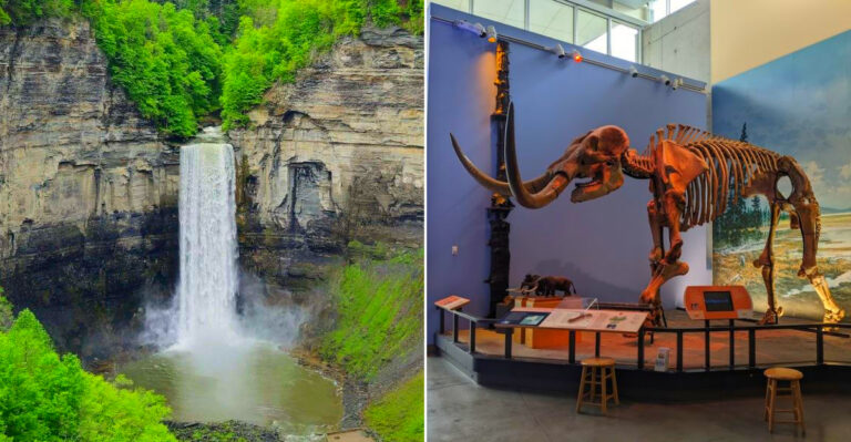 12 Priceless New York Adventures You Can Enjoy Without Spending More Than $30