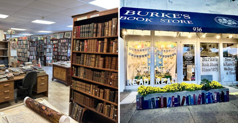 12 Tennessee Secondhand Bookstores Every Book Lover Needs To Check Out In 2026