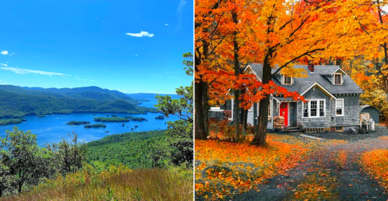 8 Areas In New York Where Rattlesnakes Have Been Spotted