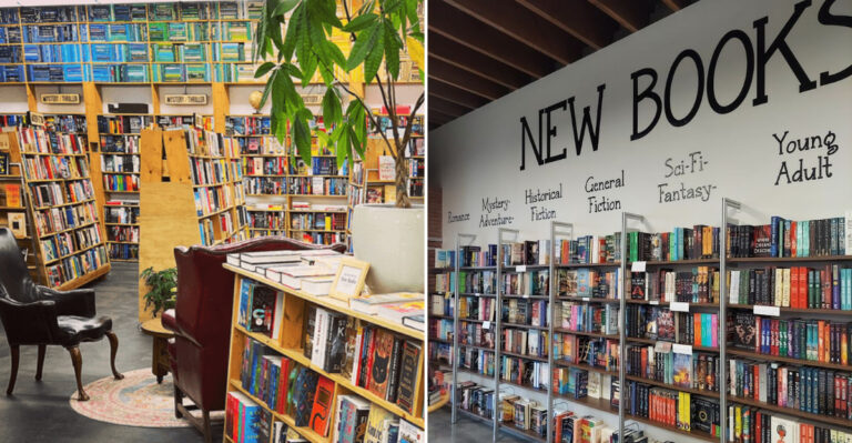 8 Must-Visit Used Bookstores In Oregon For Book Lovers