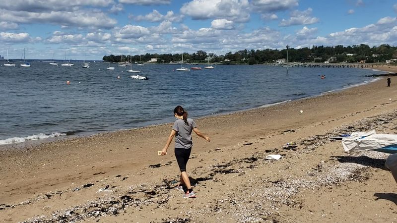 Steppingstone Park Beach