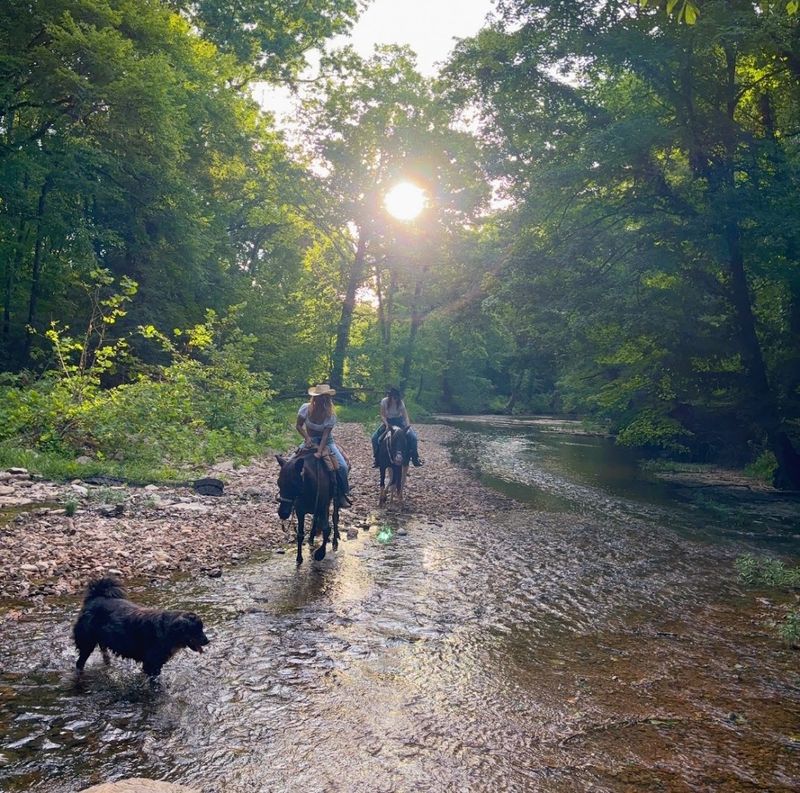 Natchez Trace Stables, Primm Springs