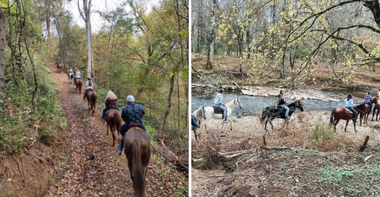 9 Amazing Tennessee Spots For A Horseback Ride You’ll Never Forget