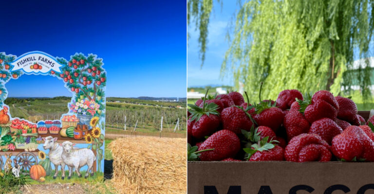 9 Charming Farms To Pick Strawberries In New York This Year