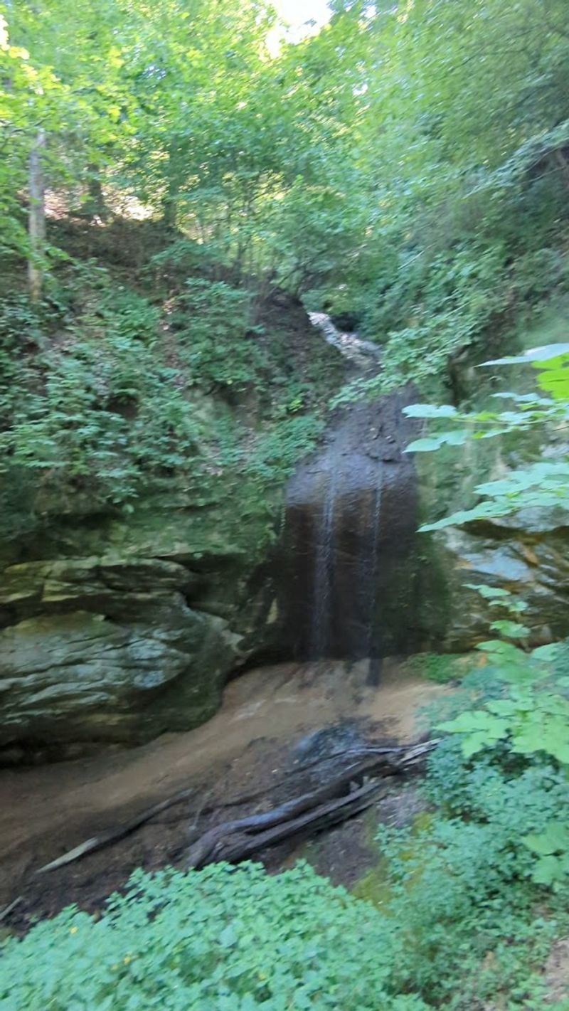 One Of The Most Photogenic Trails In The Park