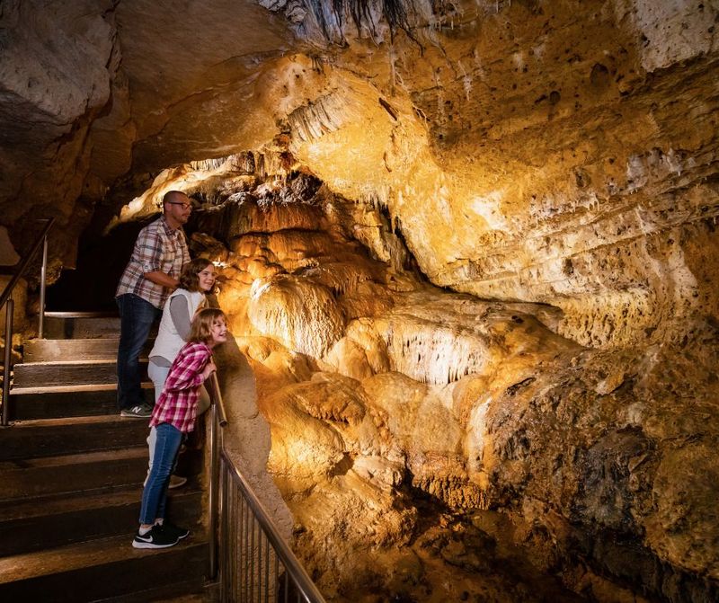 Paved And Well-Lit Walkways Make The Tour Easy To Follow