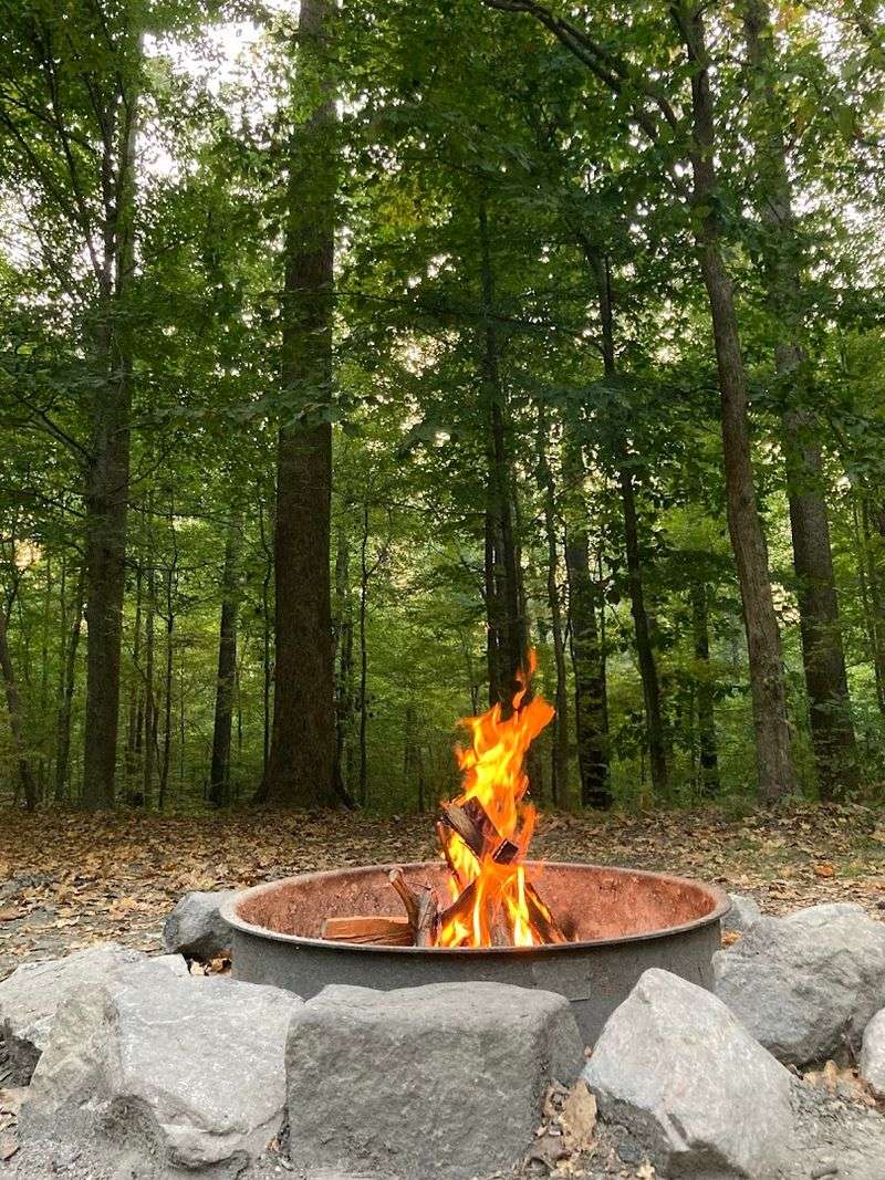 Horse Riding And Outdoor Activities Beyond The Trails