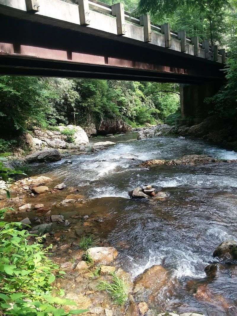 Road Biking And Exploration Through Mountain Forest Roads
