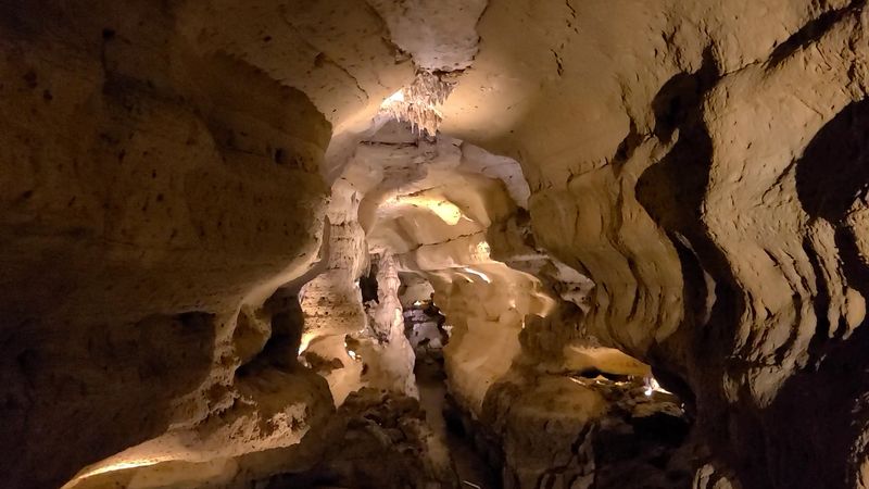 Seasonal And Specialty Tours Offer A Different Perspective Underground
