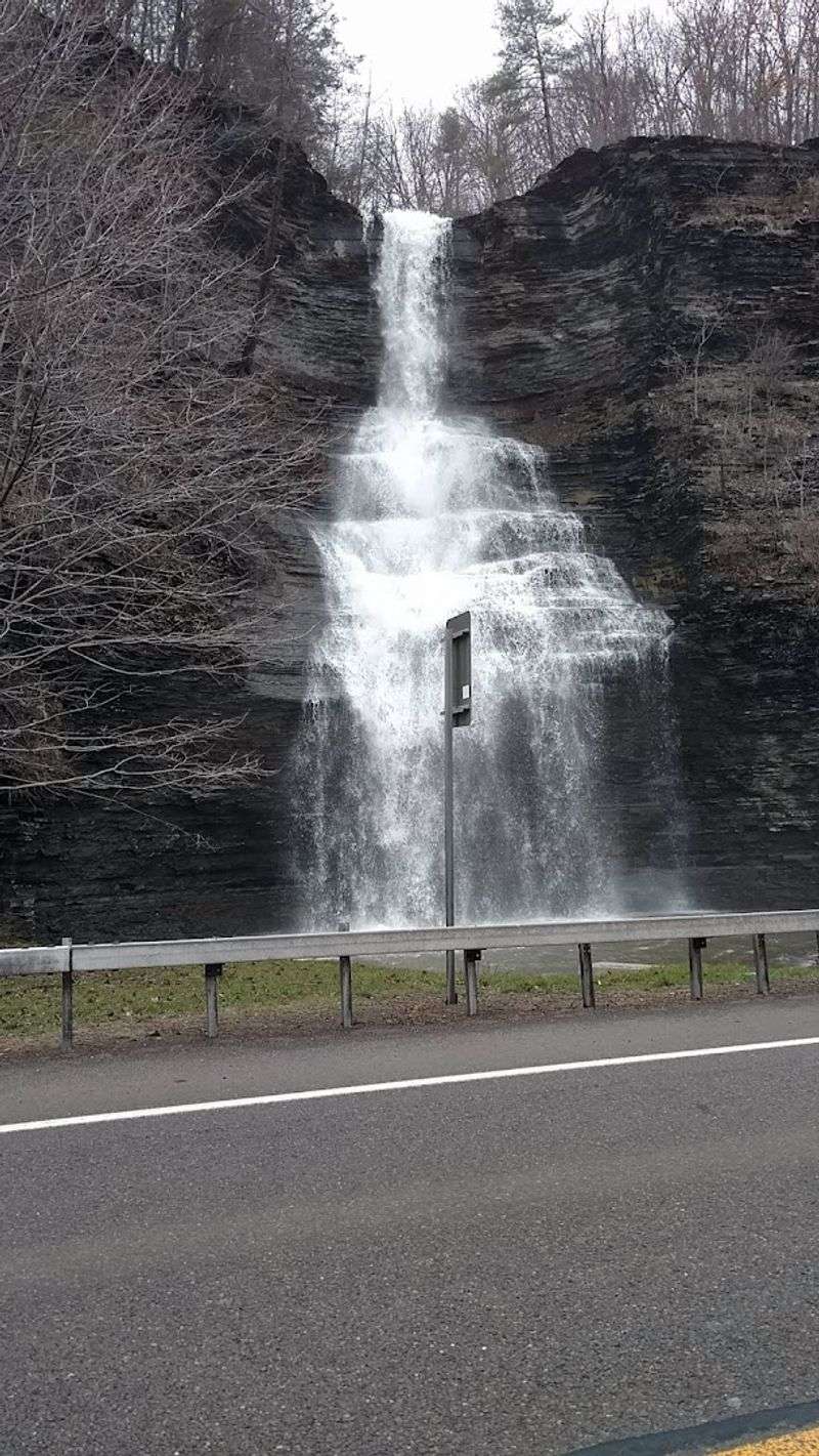 A Fan-Shaped Wonder That Stops Traffic Without Trying
