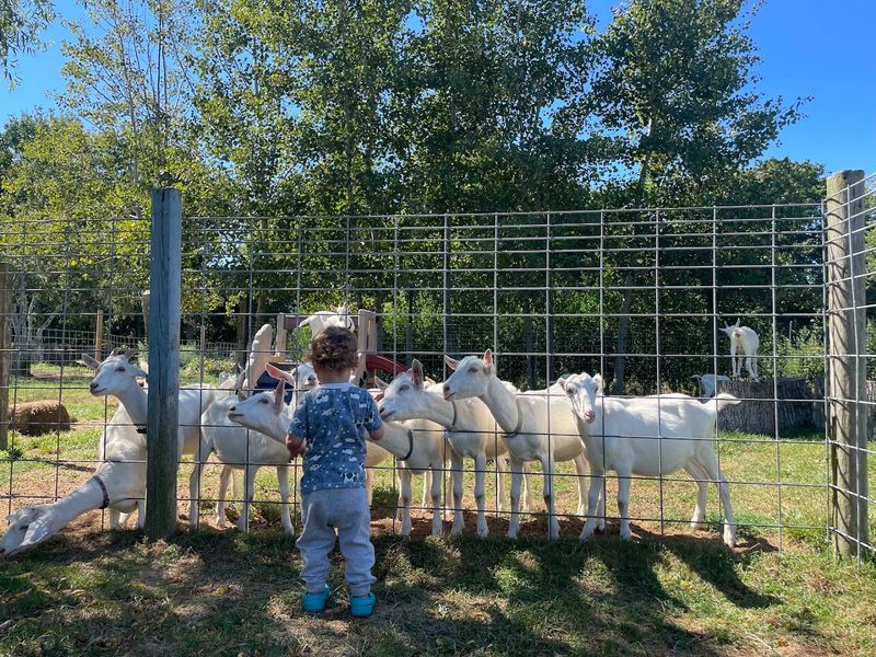 Goodale Farms And What Makes It Worth The Drive