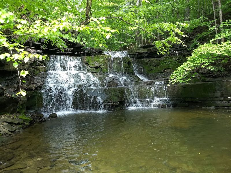 Wolf Creek Falls Preserve And What Makes It Worth The Drive
