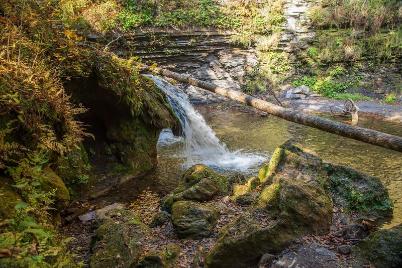 Where The Trail Begins And What To Expect When You Arrive