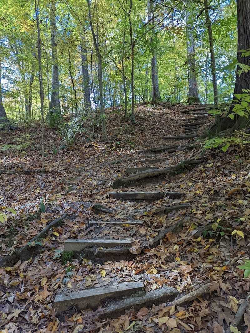 Hiking Trails For Every Kind Of Adventurer