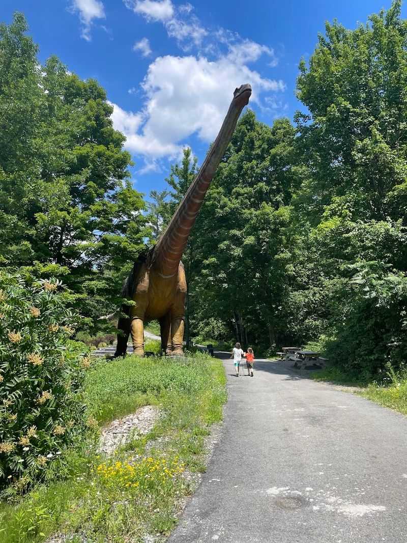 Lake George Expedition Park And What Makes It Worth The Drive