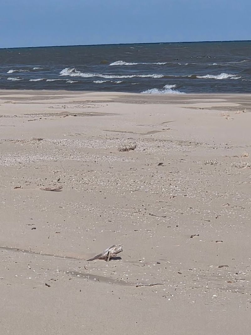 Why This Scenic Spot Feels So Peaceful And Unique