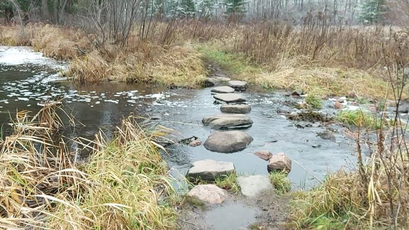 Where Peaceful Nature Replaces The Crowds