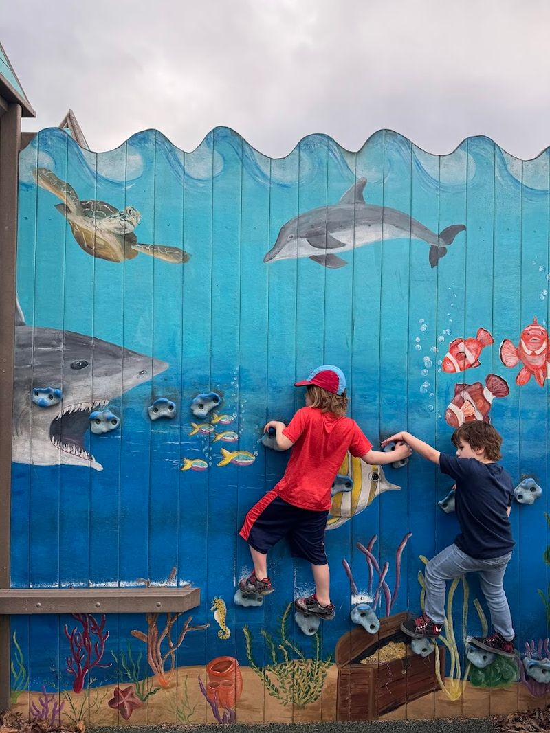 Climbing Structures That Keep Kids Coming Back