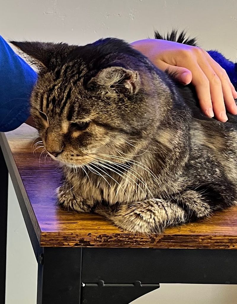 The Nonprofit Heart Behind Every Cup Of Coffee