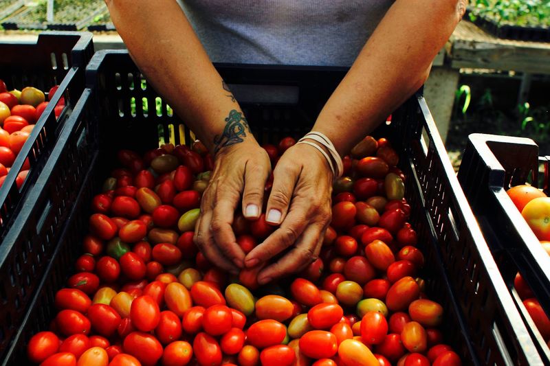 Fresh Produce Worth Getting Excited About