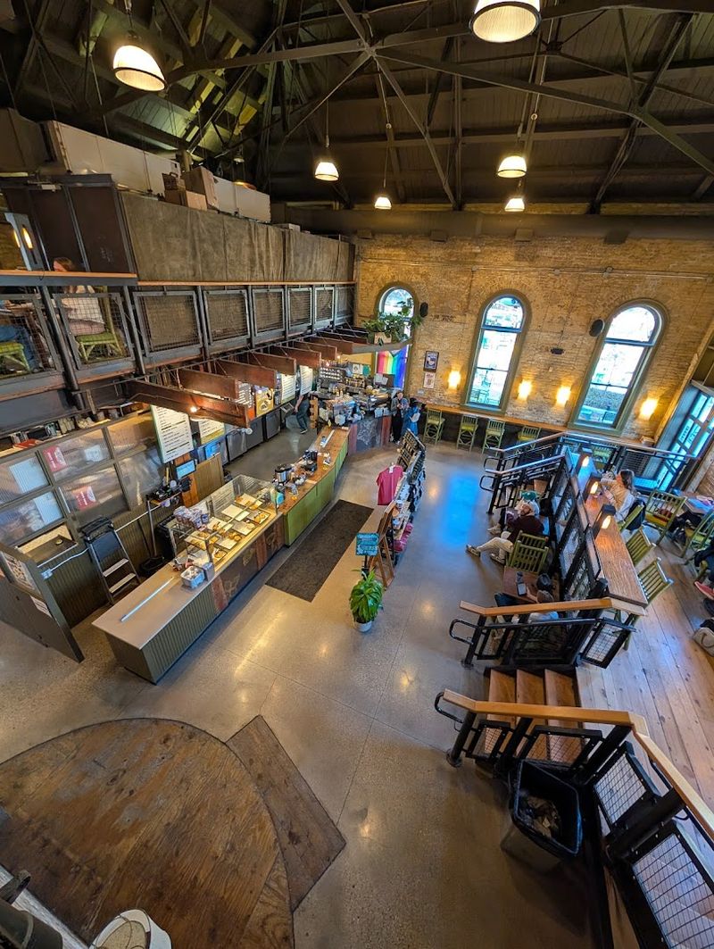 Comfortable Seating That Encourages You To Stay A While