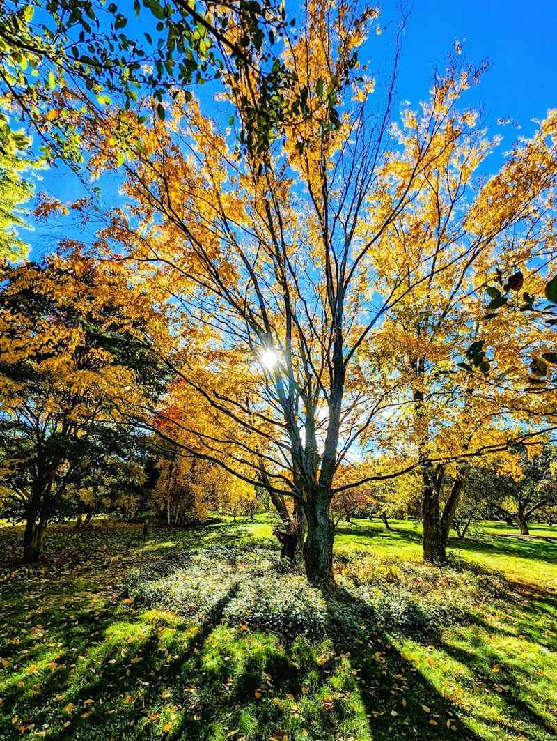 Seasonal Blooms That Change The Scenery Throughout The Year