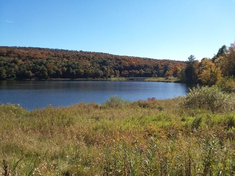 Oquaga Creek State Park And Where To Find It
