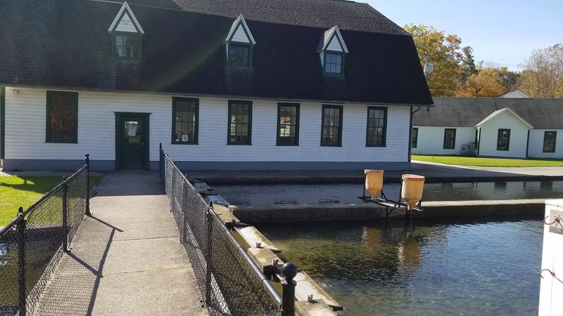 Caledonia Fish Hatchery Spring And Its Remarkable History