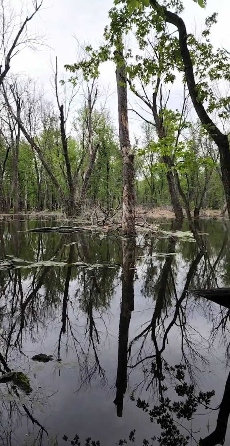 Seasonal Beauty That Changes The Experience Throughout The Year