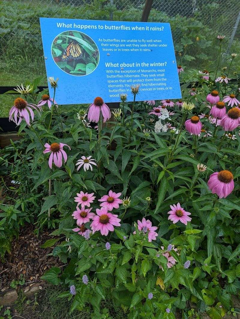 The Minna Anthony Common Nature Center Changes How You See the Outdoors