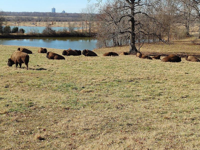 Wildlife, History, And Natural Surprises Hidden Throughout The Grounds