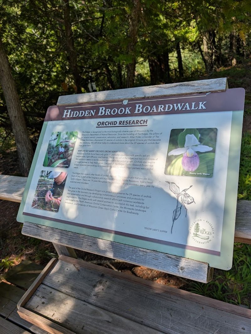 Educational Nature Programs That Bring Visitors Closer To The Landscape