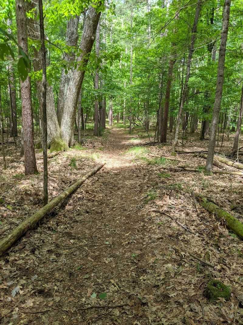 Wooded Trails Perfect For Easy Hiking