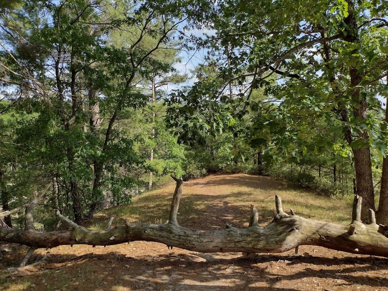 A Small Park With A Big Sense Of Discovery