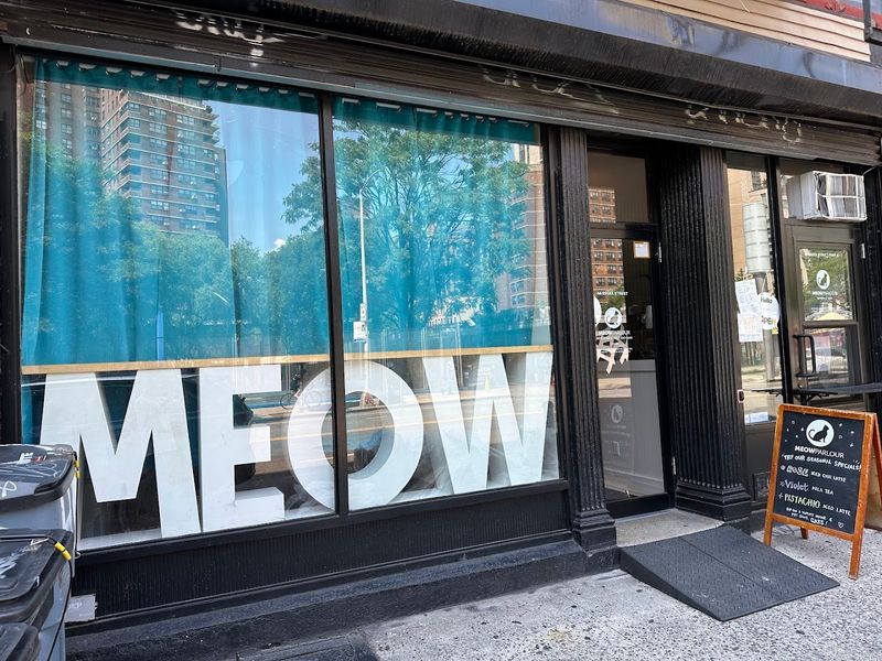 Meow Parlour New York And What Makes It Stand Apart