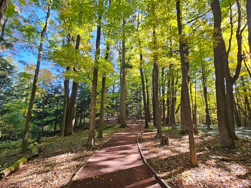 Root Glen And The History Behind Its Quiet Existence