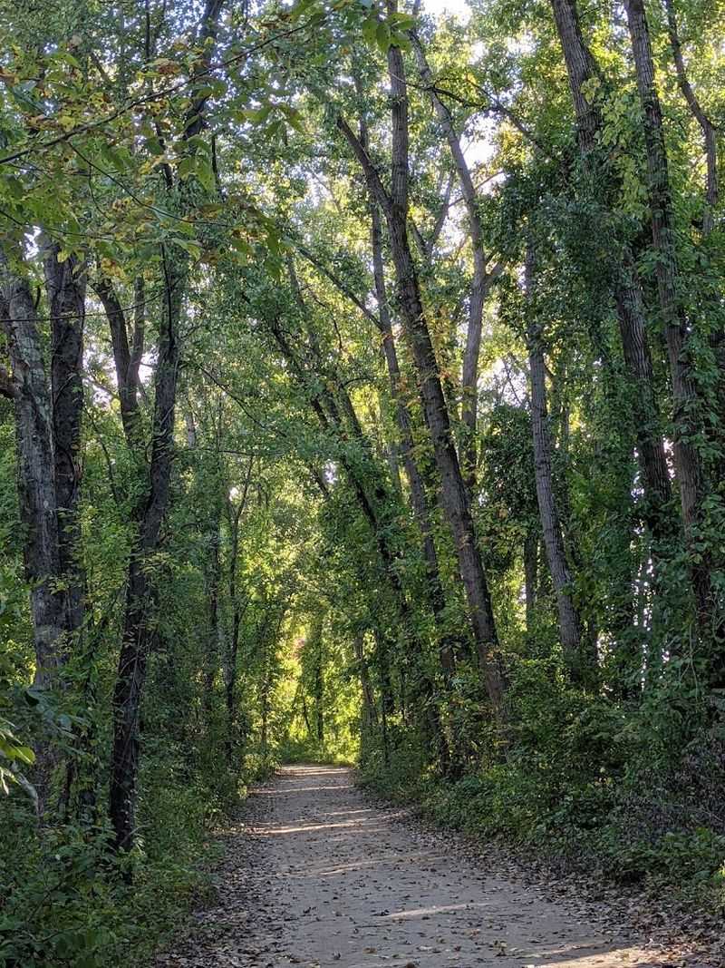 Trails That Reward A Slower Pace