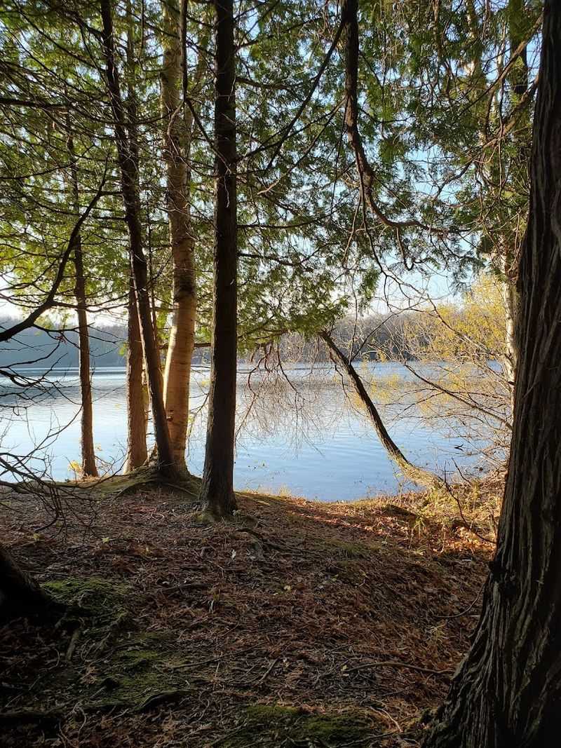 Camping Sites Tucked Into A Peaceful Lakeshore Setting