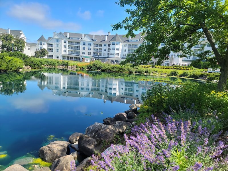 A Historic Resort Destination With Deep Local Roots