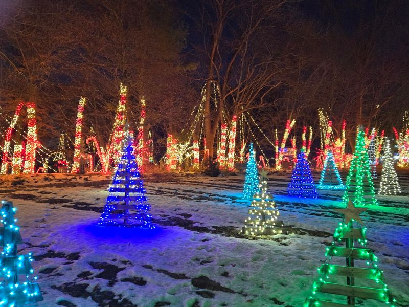 Events And Displays That Add Even More Charm