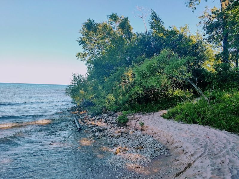 A Popular Birdwatching Destination Along Lake Michigan